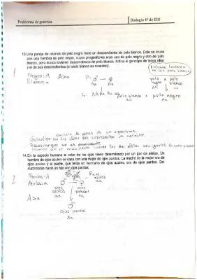 Know PROBLEMAS DE GENETICA RESUELTOS BIOLOGIA 4º eso thumbnail