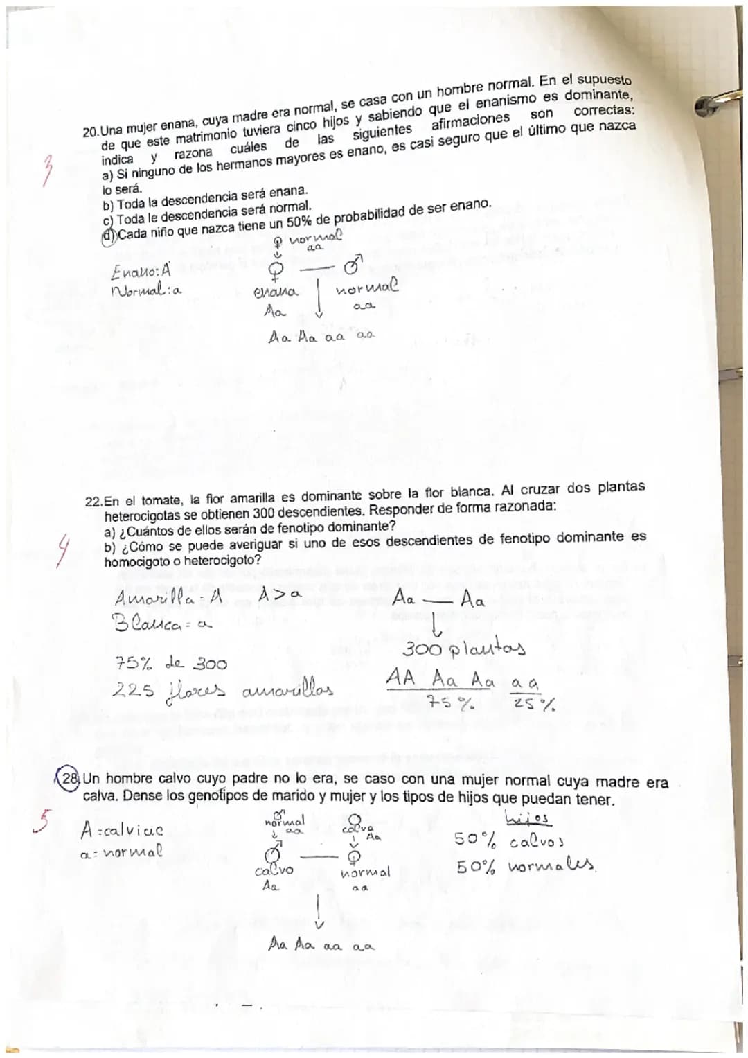 2
Problemas de genética
10.Una pareja de ratones de pelo negro tiene un descendiente de pelo blanco. Este se cruza
con una hembra de pelo ne