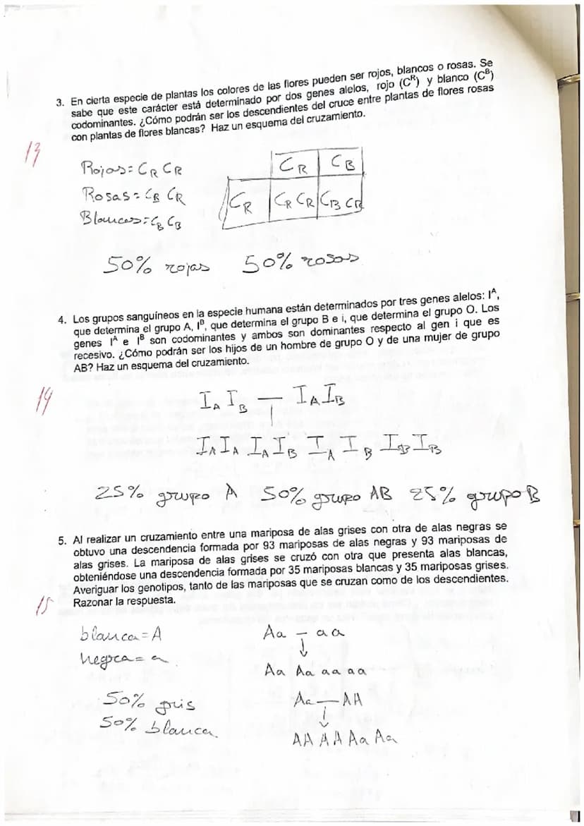 2
Problemas de genética
10.Una pareja de ratones de pelo negro tiene un descendiente de pelo blanco. Este se cruza
con una hembra de pelo ne