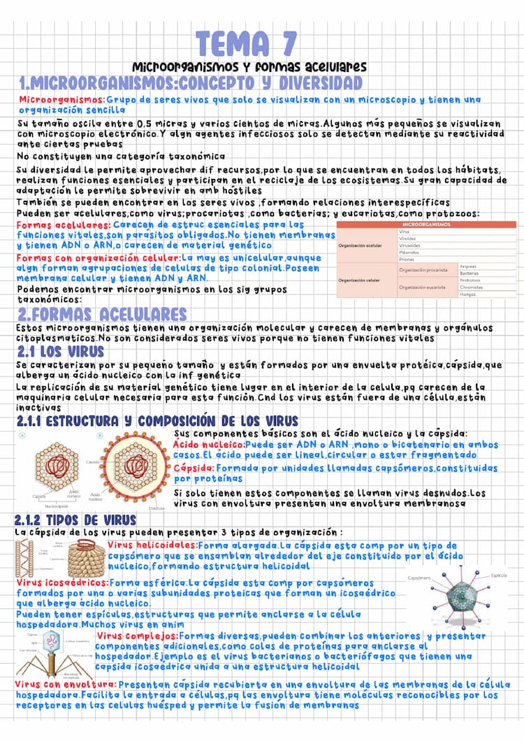 Know 7. Microorganismos y formas acelulares thumbnail