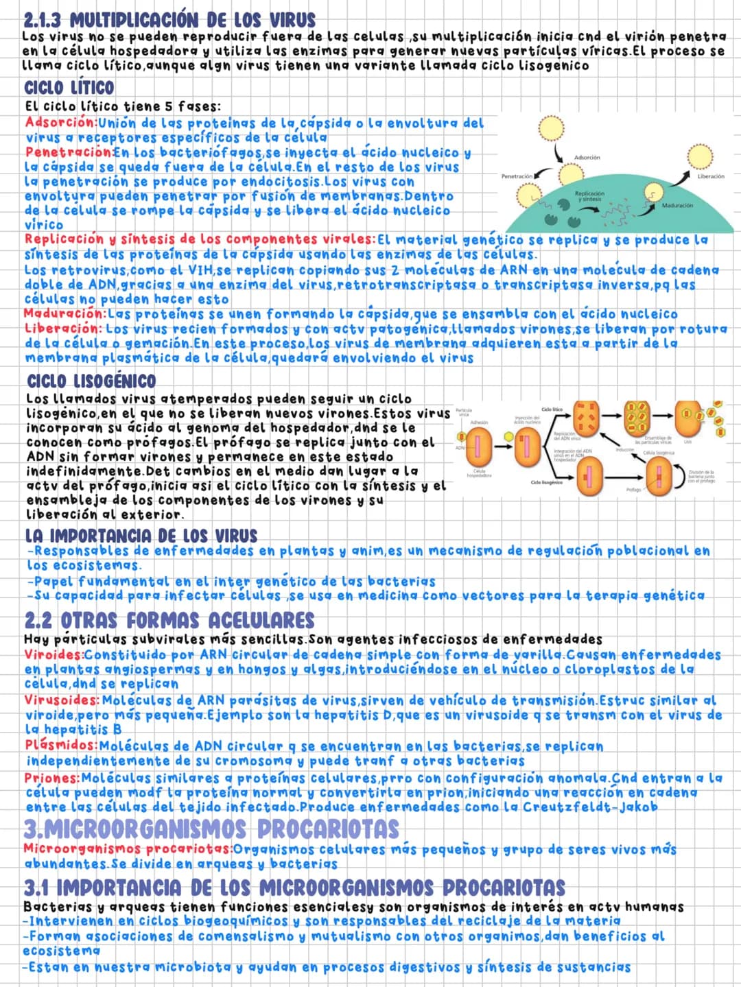 TEMA 7
Microorganismos y formas acelulares
1.MICROORGANISMOS:CONCEPTO Y DIVERSIDAD
Microorganismos: Grupo de seres vivos que solo se visuali