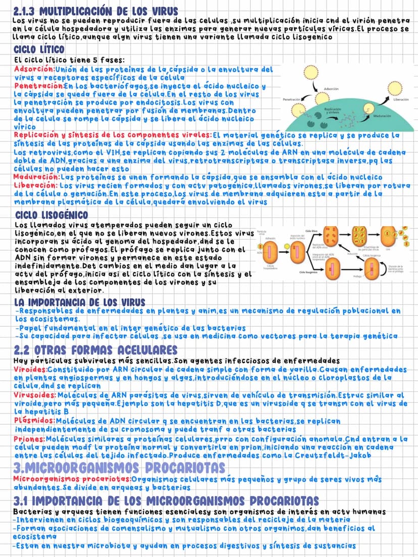 TEMA 7
Microorganismos y formas acelulares
1.MICROORGANISMOS:CONCEPTO Y DIVERSIDAD
Microorganismos: Grupo de seres vivos que solo se visuali