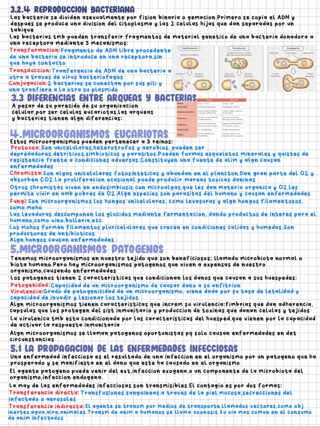 TEMA 7
Microorganismos y formas acelulares
1.MICROORGANISMOS:CONCEPTO Y DIVERSIDAD
Microorganismos: Grupo de seres vivos que solo se visuali