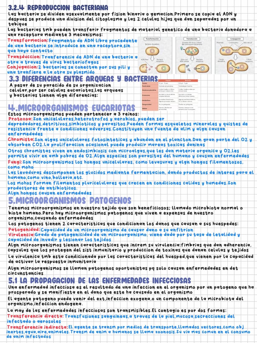 TEMA 7
Microorganismos y formas acelulares
1.MICROORGANISMOS:CONCEPTO Y DIVERSIDAD
Microorganismos: Grupo de seres vivos que solo se visuali