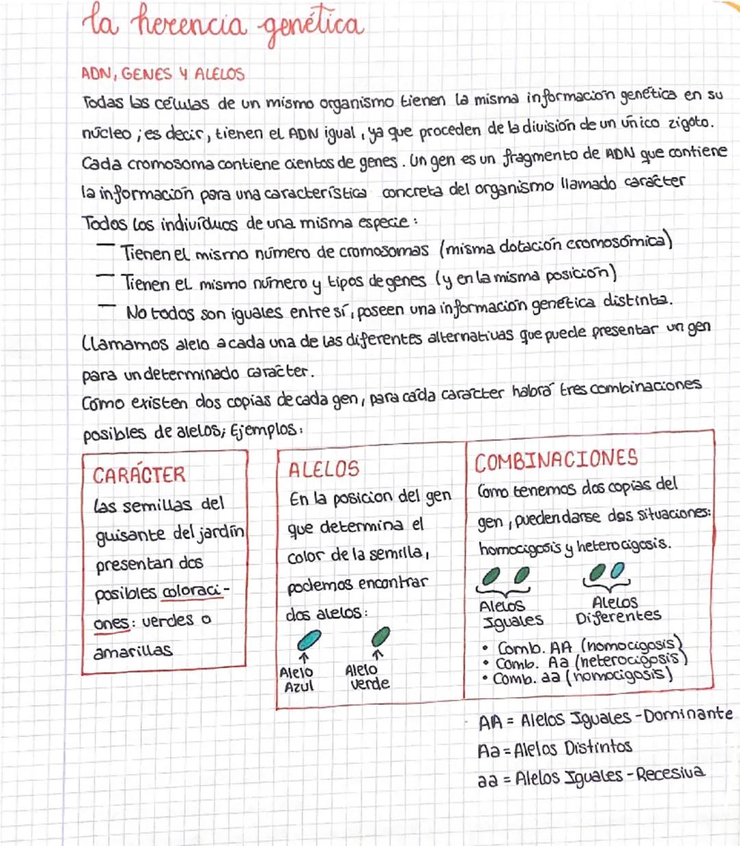 # la herencia genética

ADN, GENES Y ALELOS

Todas las células de un mismo organismo tienen la misma información genética en su
núcleo, es d
