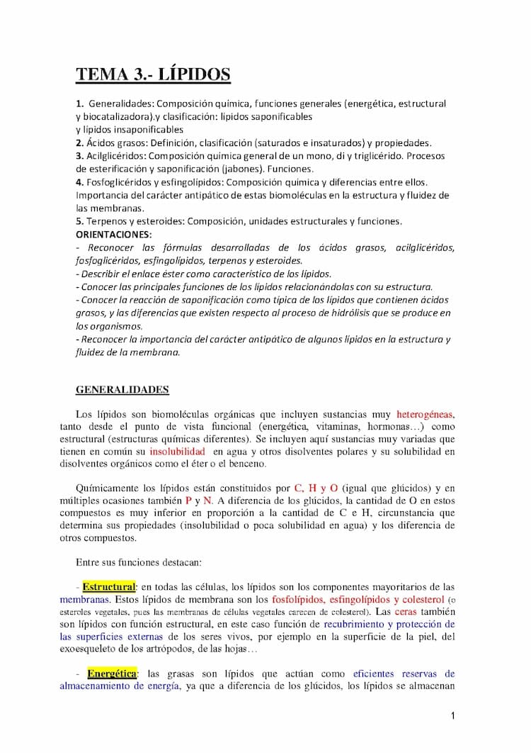 Know Lípidos  thumbnail