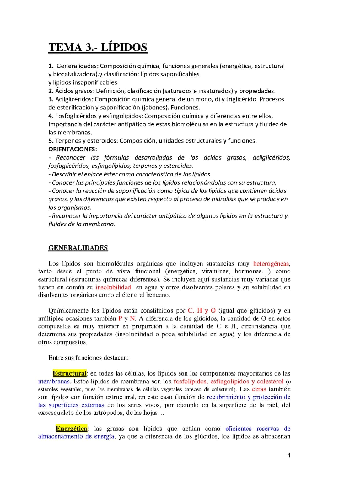 Todo sobre los lípidos: composición, importancia y funciones