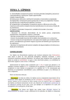 Know Lípidos  thumbnail