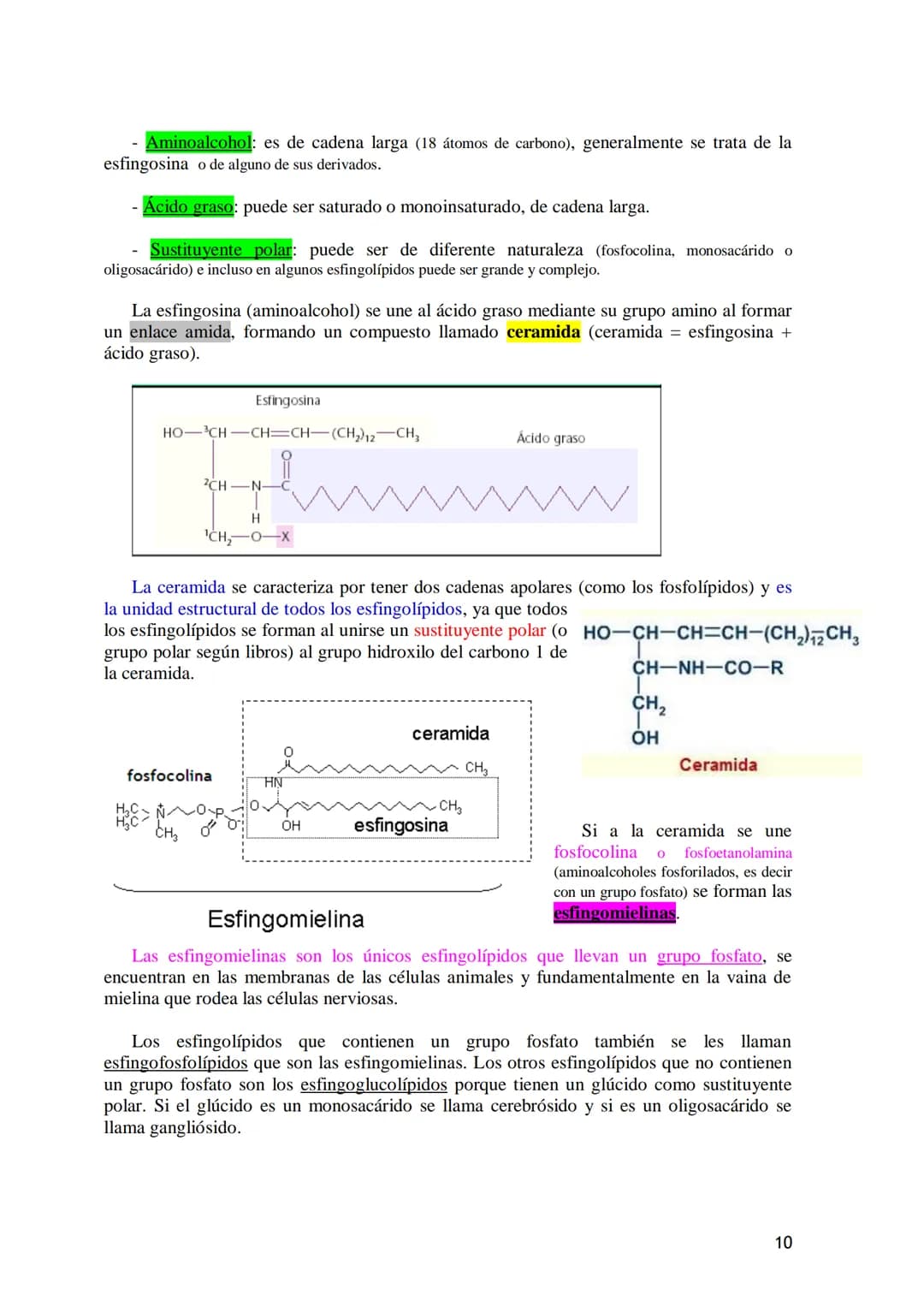 TEMA 3.- LÍPIDOS
1. Generalidades: Composición química, funciones generales (energética, estructural
y biocatalizadora).y clasificación: líp