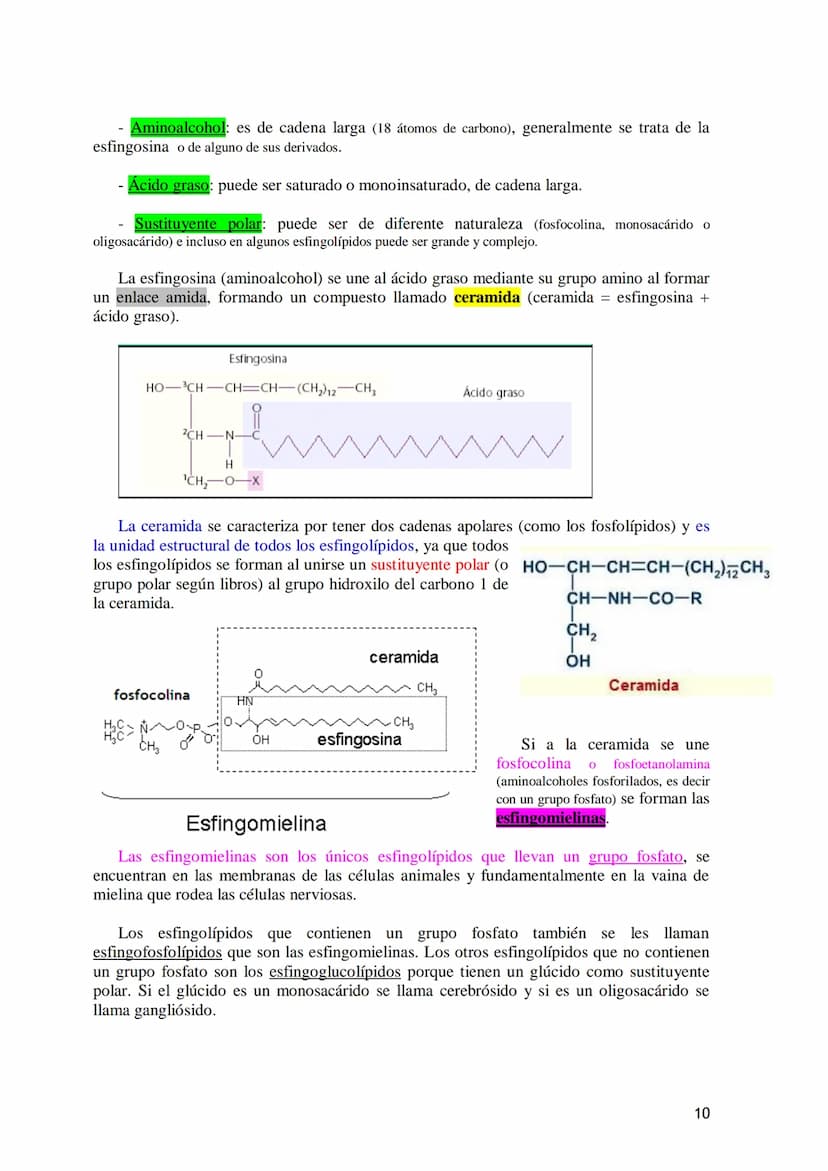 TEMA 3.- LÍPIDOS
1. Generalidades: Composición química, funciones generales (energética, estructural
y biocatalizadora).y clasificación: líp