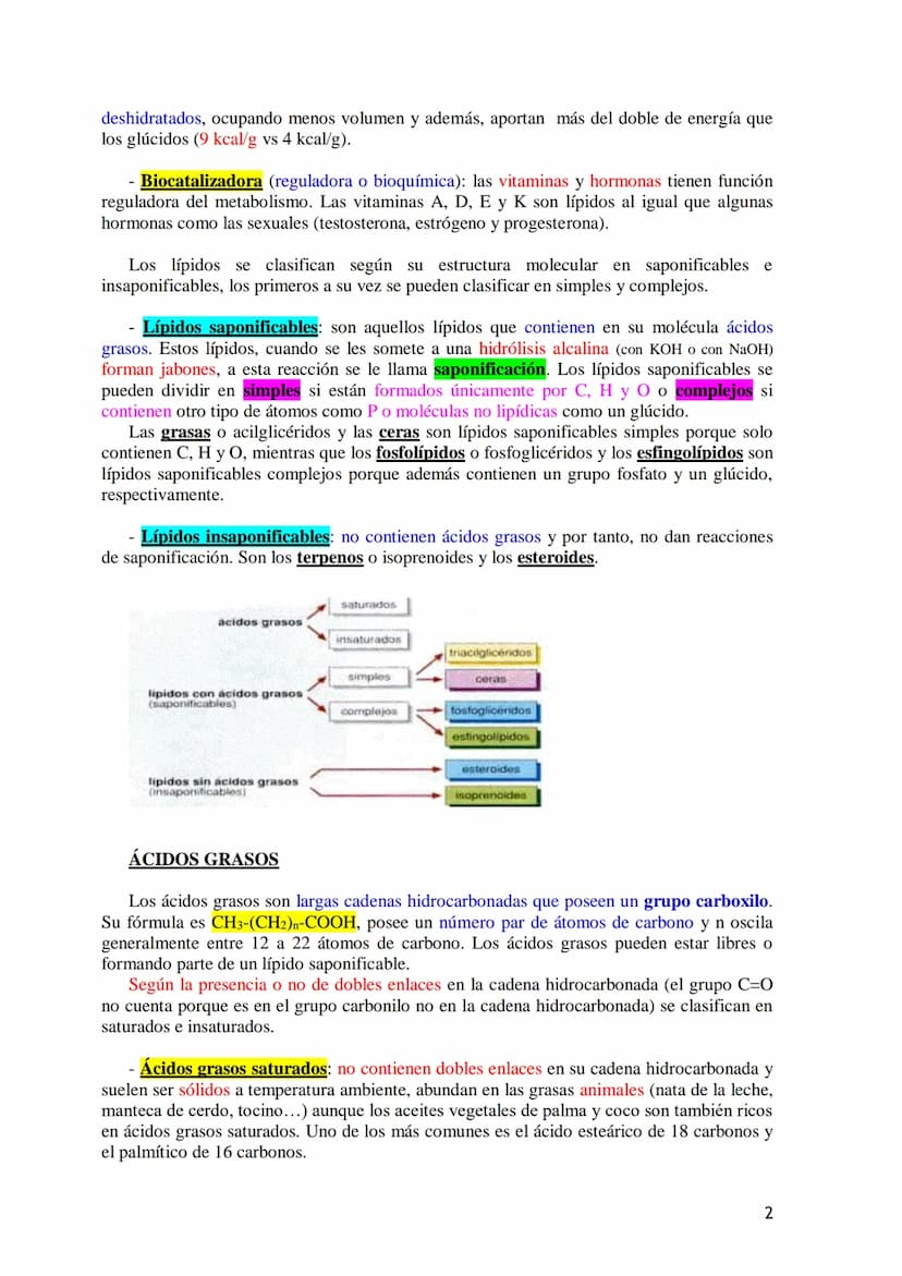 TEMA 3.- LÍPIDOS
1. Generalidades: Composición química, funciones generales (energética, estructural
y biocatalizadora).y clasificación: líp