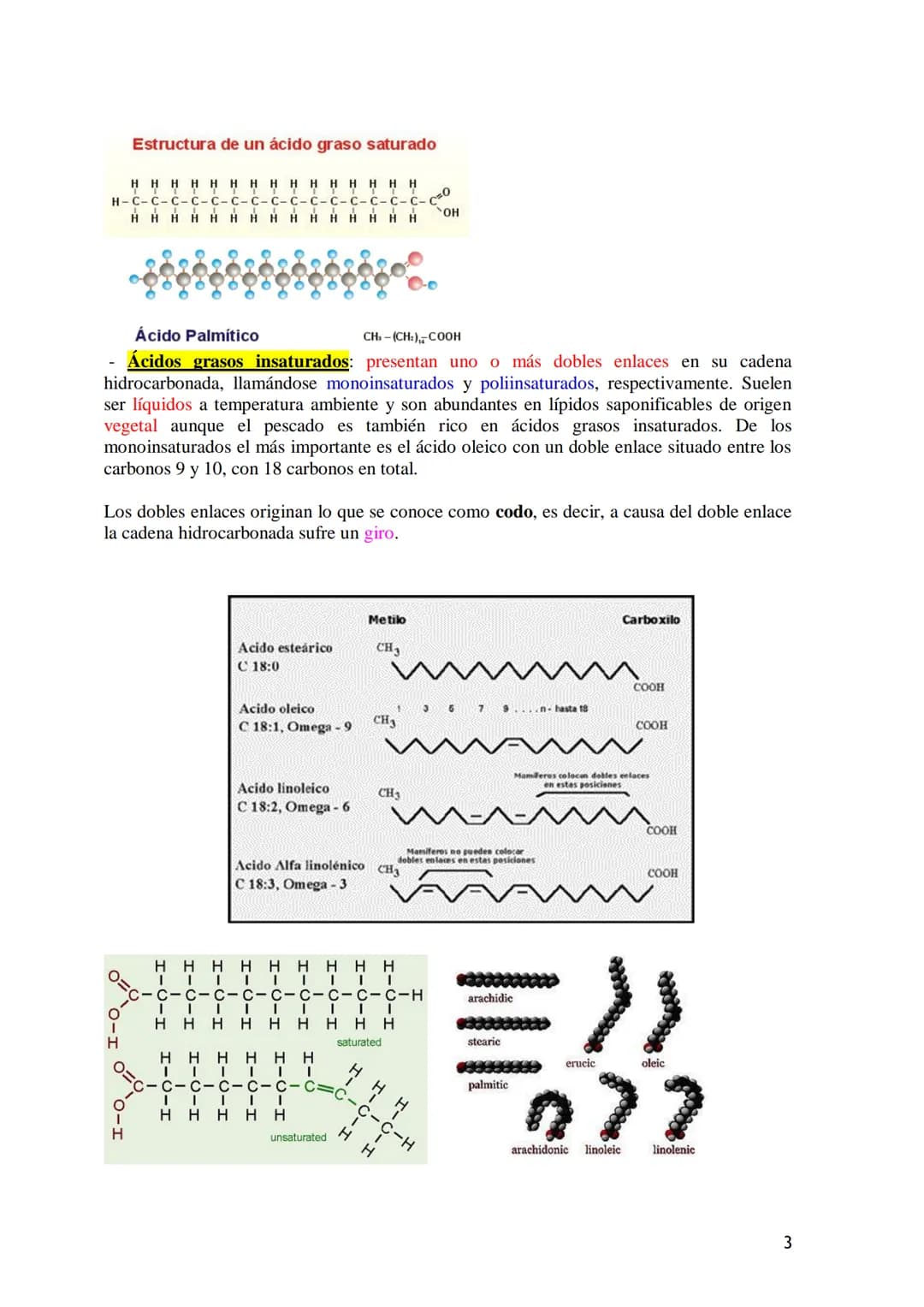 TEMA 3.- LÍPIDOS
1. Generalidades: Composición química, funciones generales (energética, estructural
y biocatalizadora).y clasificación: líp