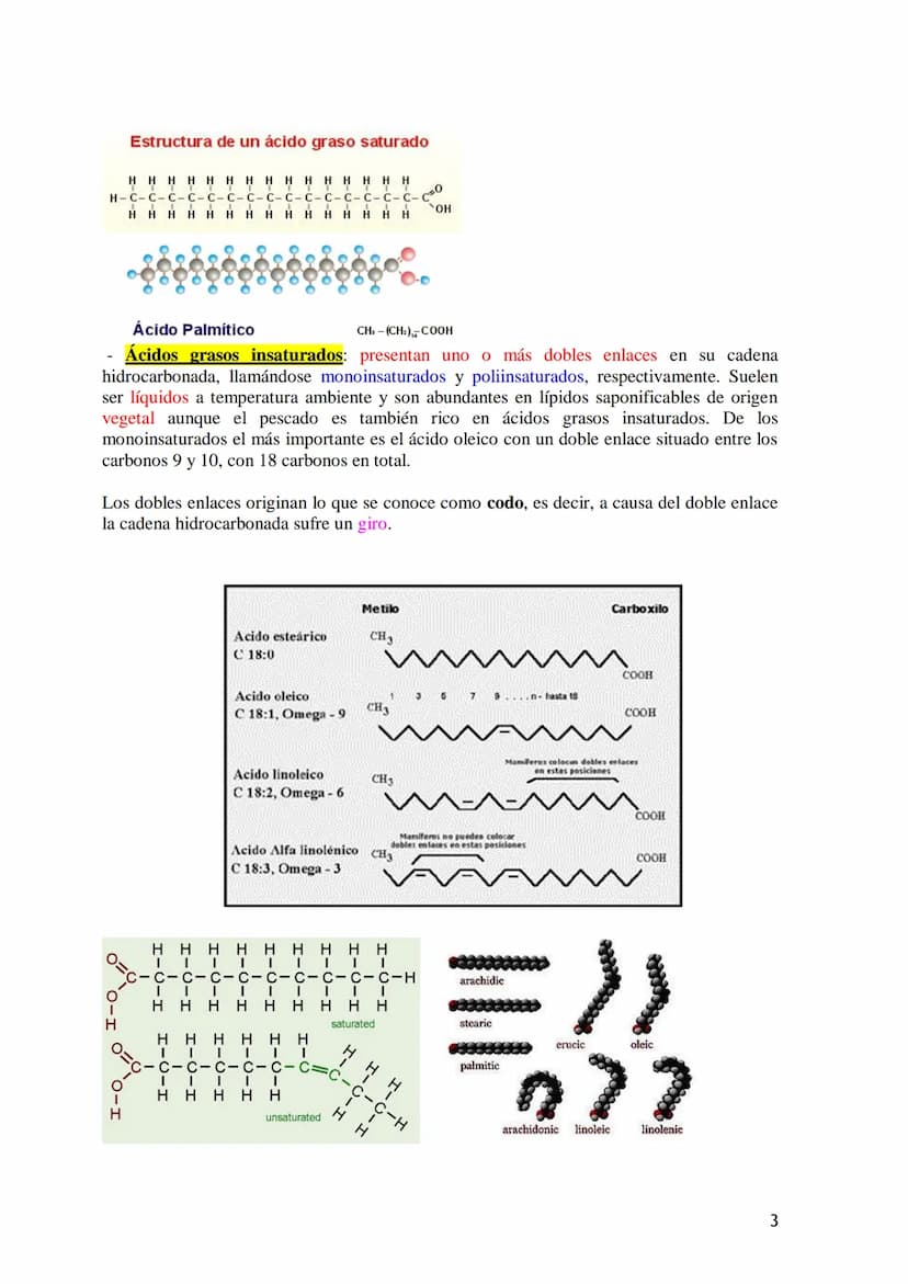 TEMA 3.- LÍPIDOS
1. Generalidades: Composición química, funciones generales (energética, estructural
y biocatalizadora).y clasificación: líp