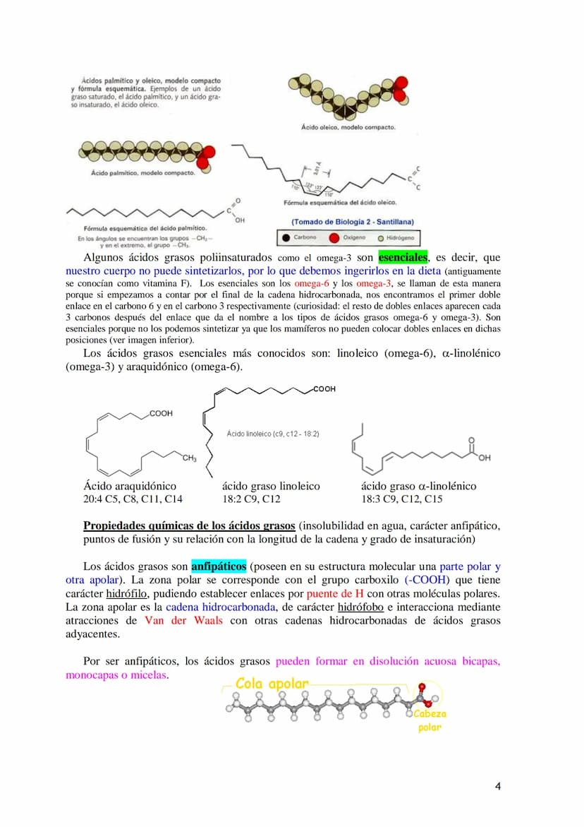 TEMA 3.- LÍPIDOS
1. Generalidades: Composición química, funciones generales (energética, estructural
y biocatalizadora).y clasificación: líp