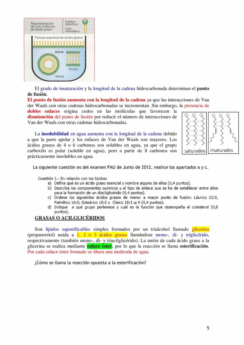 TEMA 3.- LÍPIDOS
1. Generalidades: Composición química, funciones generales (energética, estructural
y biocatalizadora).y clasificación: líp