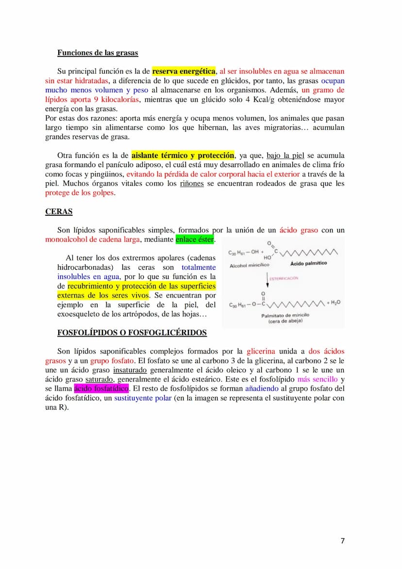 TEMA 3.- LÍPIDOS
1. Generalidades: Composición química, funciones generales (energética, estructural
y biocatalizadora).y clasificación: líp
