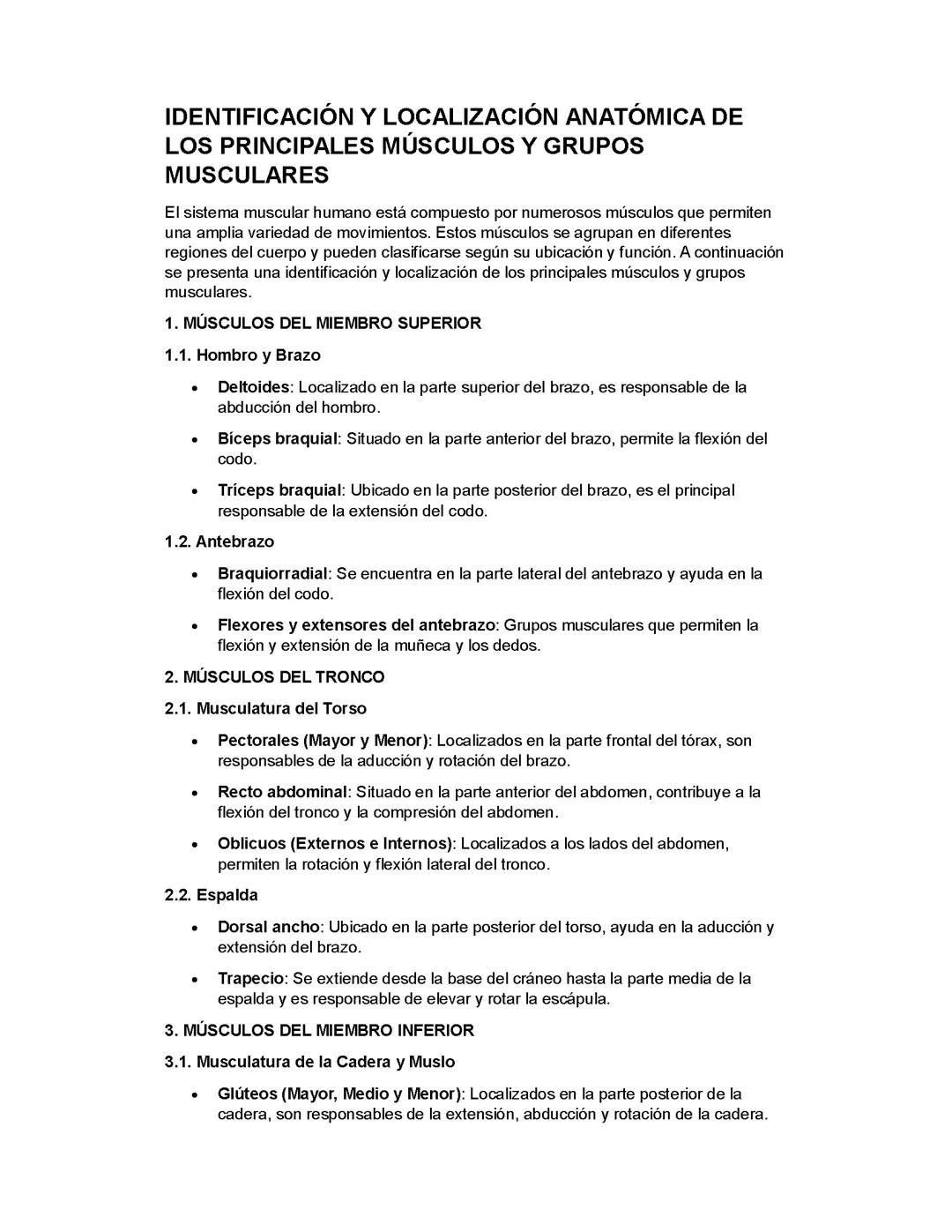 Exploración Anatómica de los Músculos Principales y sus Grupos