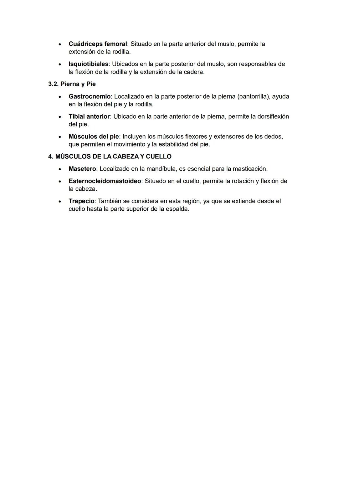 IDENTIFICACIÓN Y LOCALIZACIÓN ANATÓMICA DE
LOS PRINCIPALES MÚSCULOS Y GRUPOS
MUSCULARES
El sistema muscular humano está compuesto por numero