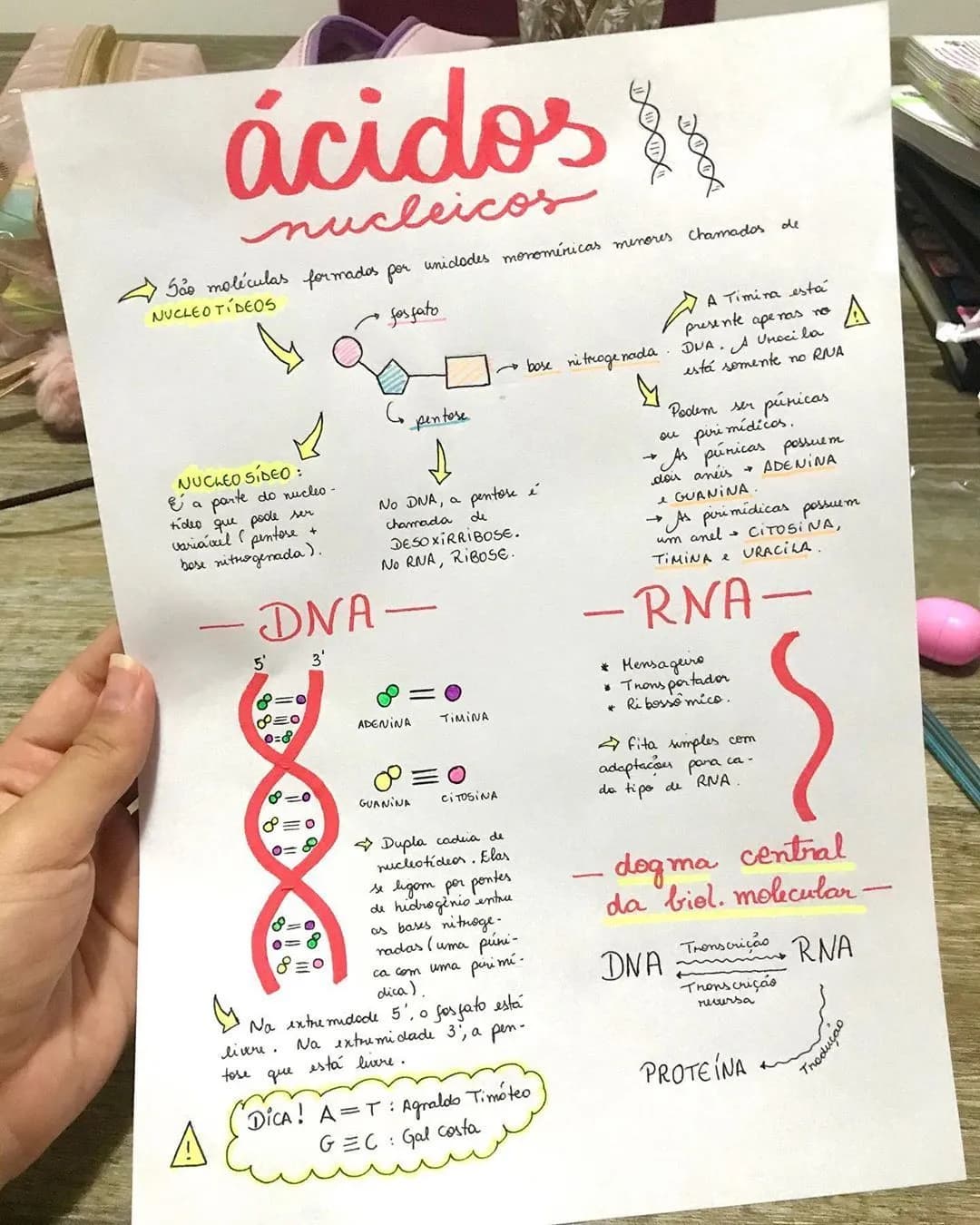 Descubrindo os Ácidos Nucleicos: DNA e RNA para Crianças