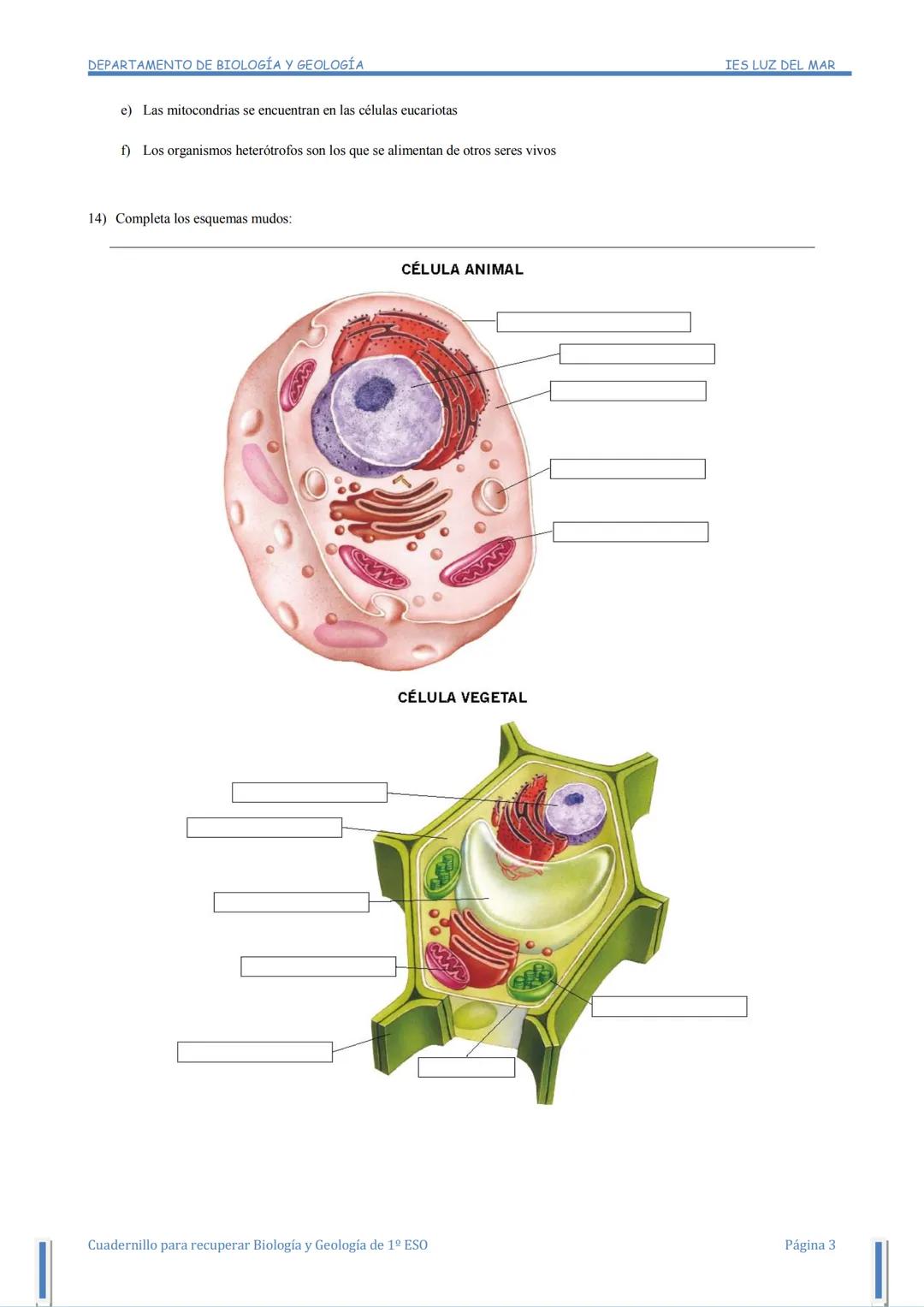 DEPARTAMENTO DE BIOLOGÍA Y GEOLOGÍA
CUADERNO DE
ACTIVIDADES
Para alumnado de 2º de ESO con la materia de
Biología y Geología de 1º de ESO pe