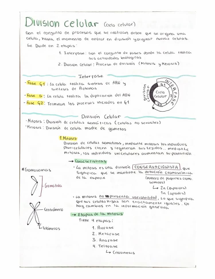 Know Biologia pt.3 thumbnail