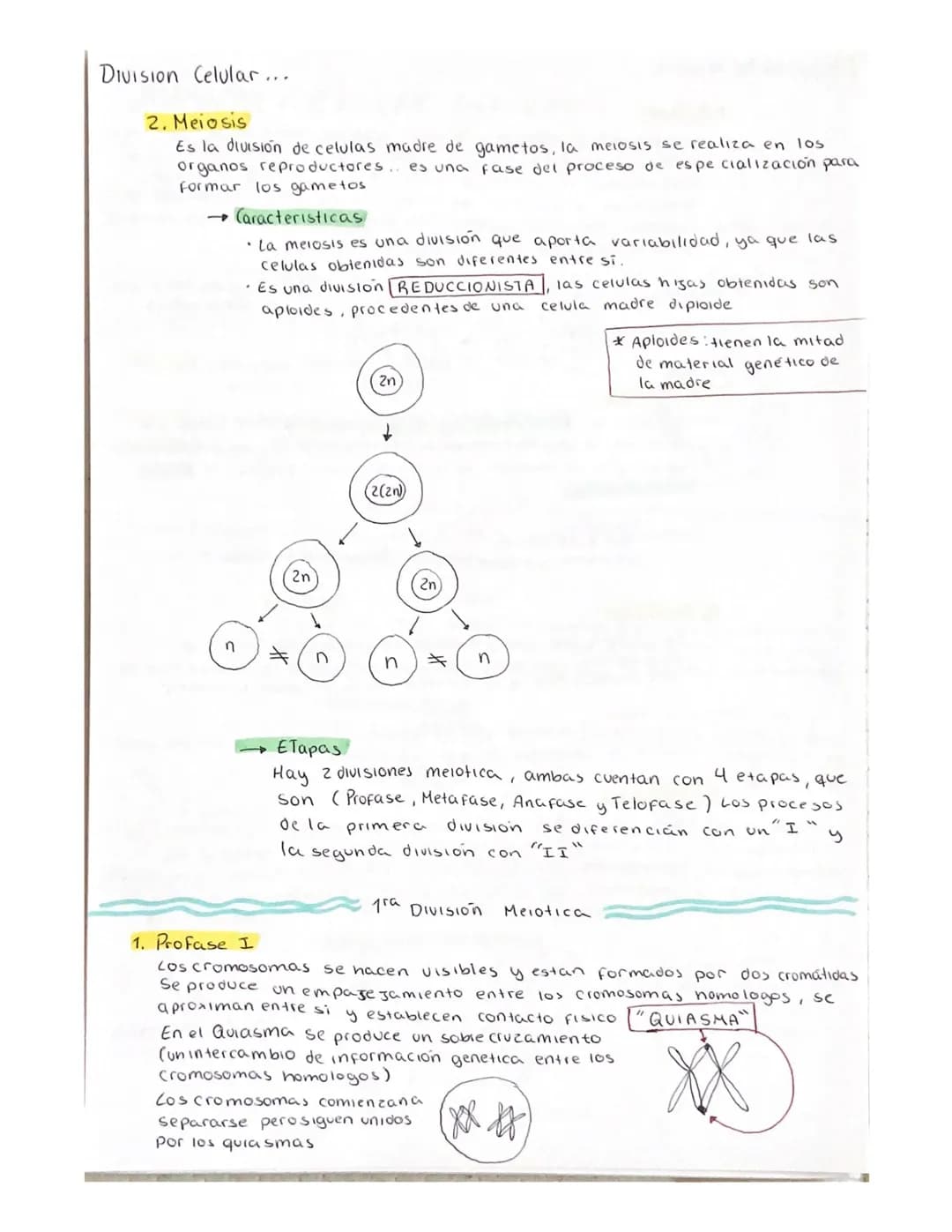 DIVISION celular (ciclo celular)
Son el conjunto de procesos que se realizan desde que se origina una
celula, hasta el momento de entrar en 