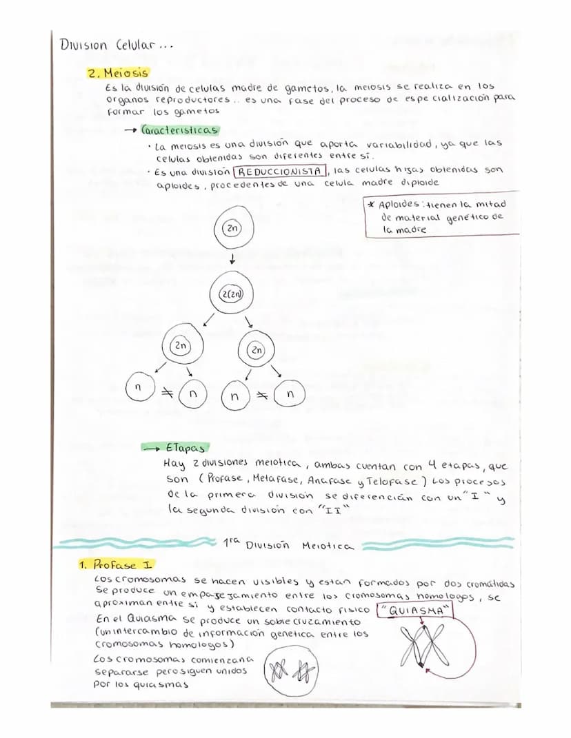 DIVISION celular (ciclo celular)
Son el conjunto de procesos que se realizan desde que se origina una
celula, hasta el momento de entrar en 