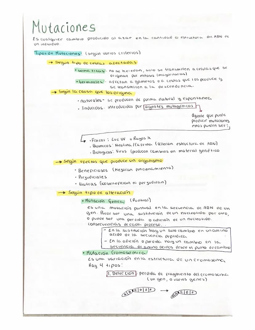 DIVISION celular (ciclo celular)
Son el conjunto de procesos que se realizan desde que se origina una
celula, hasta el momento de entrar en 