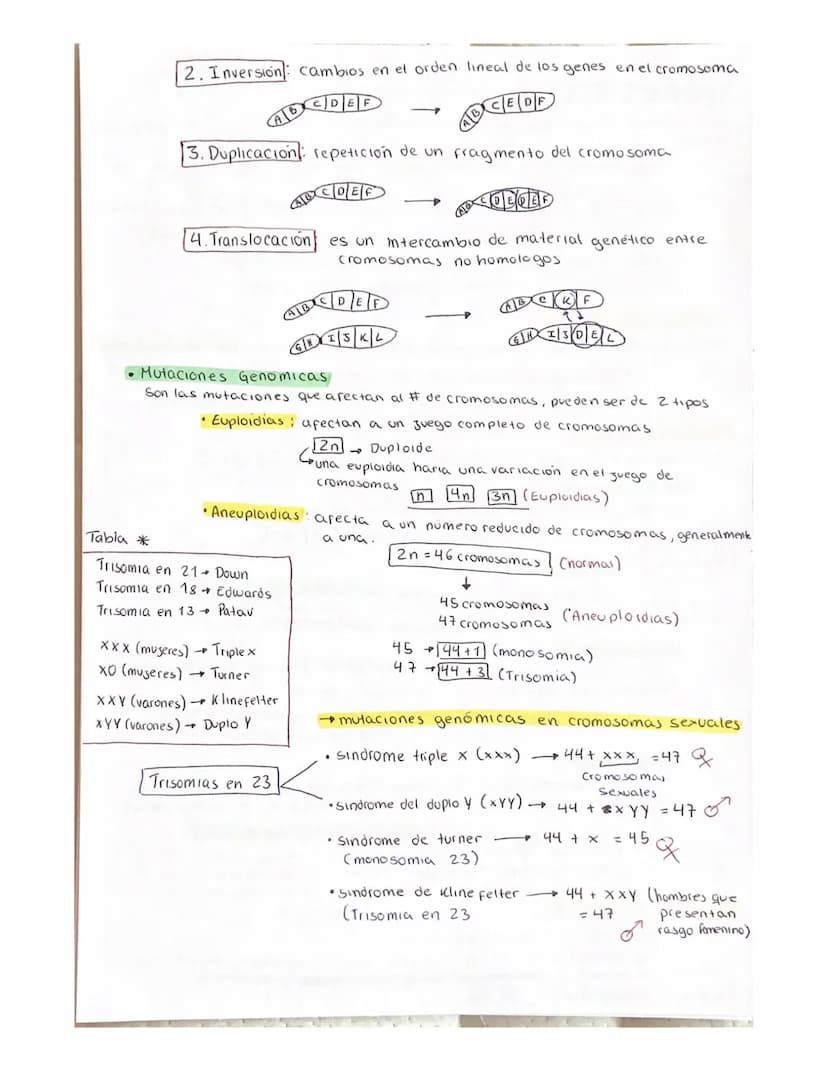 DIVISION celular (ciclo celular)
Son el conjunto de procesos que se realizan desde que se origina una
celula, hasta el momento de entrar en 