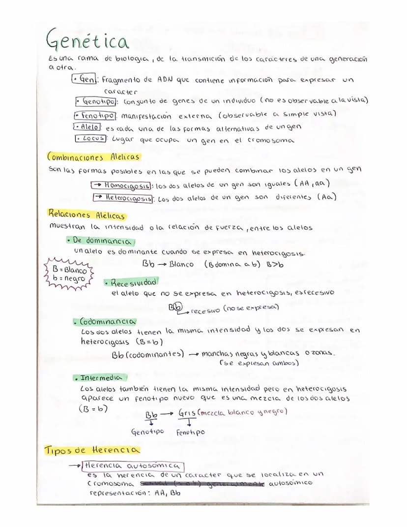 DIVISION celular (ciclo celular)
Son el conjunto de procesos que se realizan desde que se origina una
celula, hasta el momento de entrar en 
