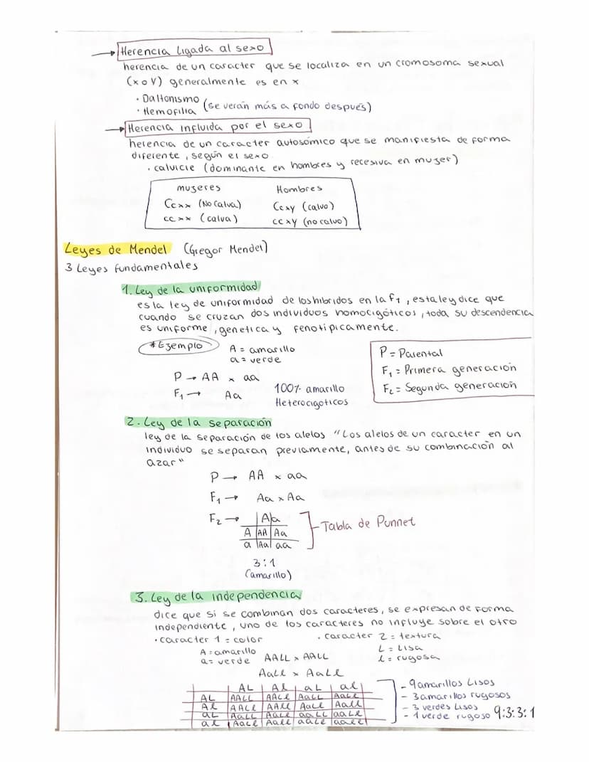 DIVISION celular (ciclo celular)
Son el conjunto de procesos que se realizan desde que se origina una
celula, hasta el momento de entrar en 