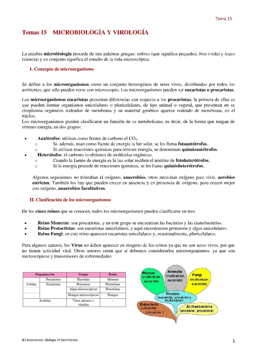 ¿Qué son los microorganismos? Clasificación y diferencias entre procariotas y eucariotas