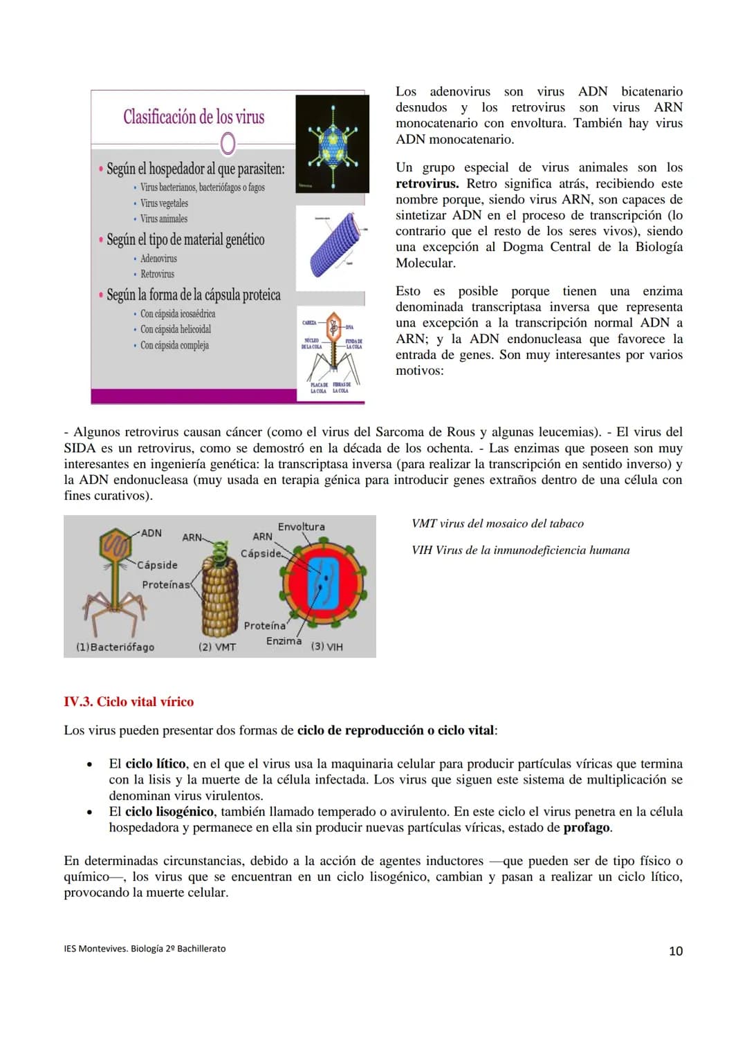 Temas 15 MICROBIOLOGÍA Y VIROLOGÍA
La palabra microbiología procede de tres palabras griegas: mikros (que significa pequeño), bios (vida) y 