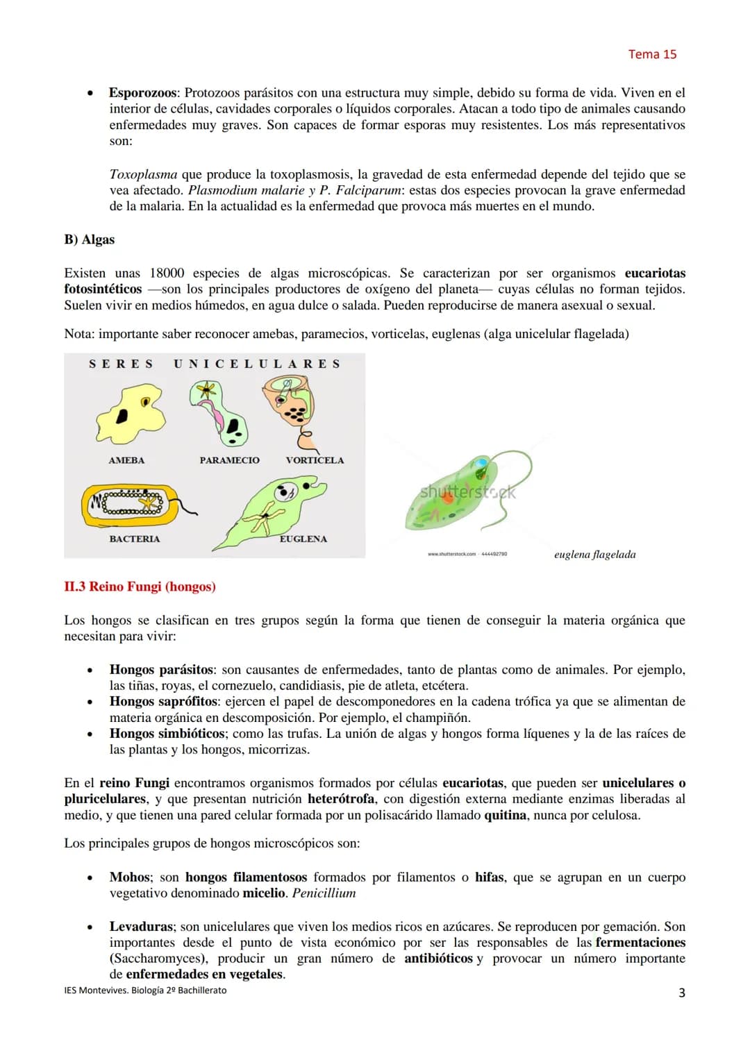 Temas 15 MICROBIOLOGÍA Y VIROLOGÍA
La palabra microbiología procede de tres palabras griegas: mikros (que significa pequeño), bios (vida) y 