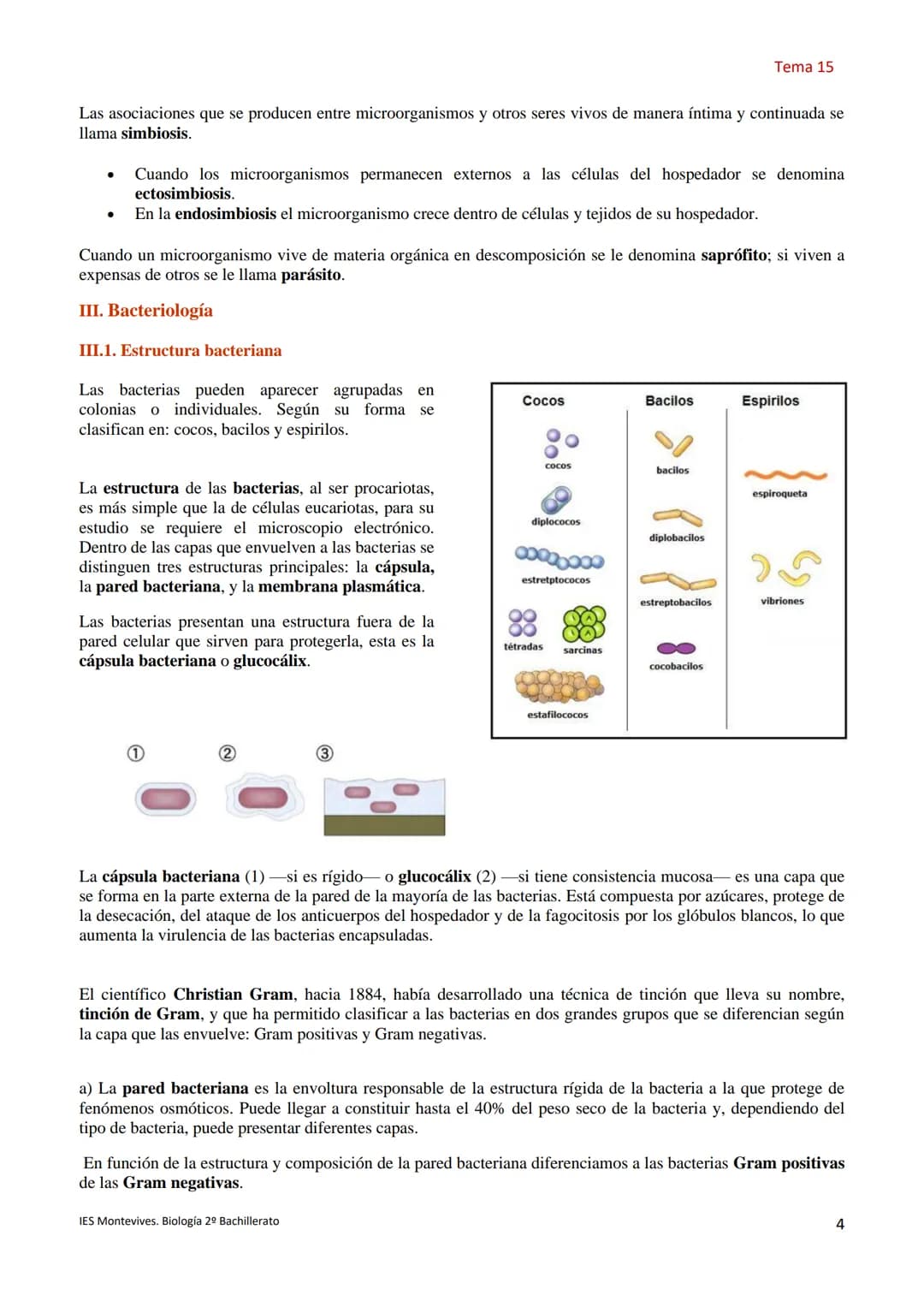 Temas 15 MICROBIOLOGÍA Y VIROLOGÍA
La palabra microbiología procede de tres palabras griegas: mikros (que significa pequeño), bios (vida) y 