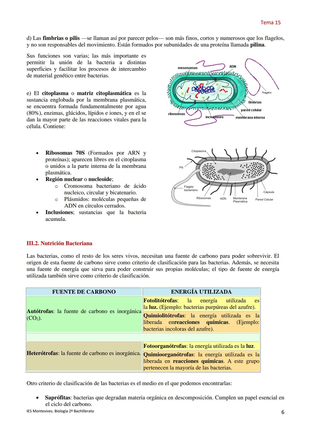 Temas 15 MICROBIOLOGÍA Y VIROLOGÍA
La palabra microbiología procede de tres palabras griegas: mikros (que significa pequeño), bios (vida) y 