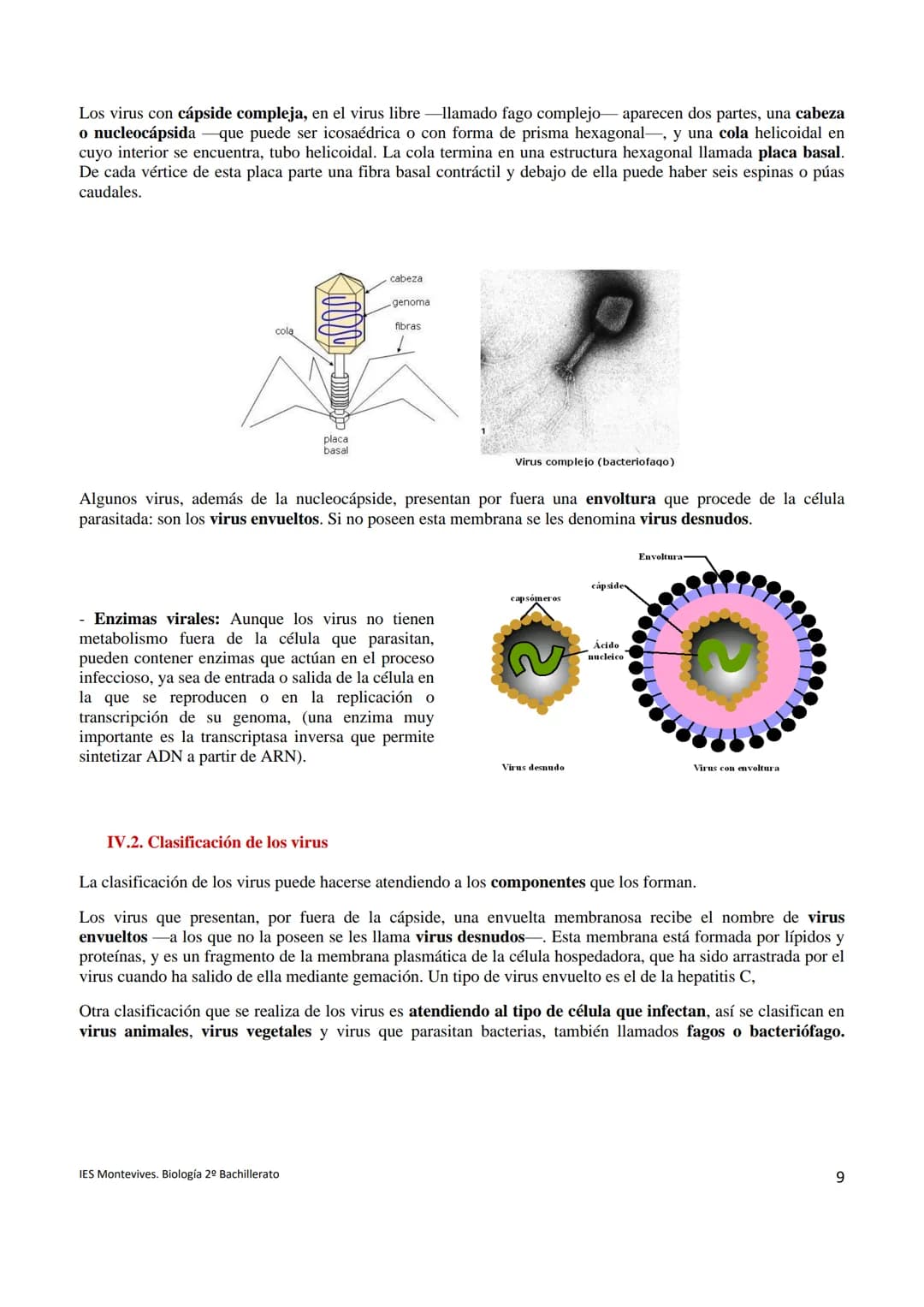 Temas 15 MICROBIOLOGÍA Y VIROLOGÍA
La palabra microbiología procede de tres palabras griegas: mikros (que significa pequeño), bios (vida) y 