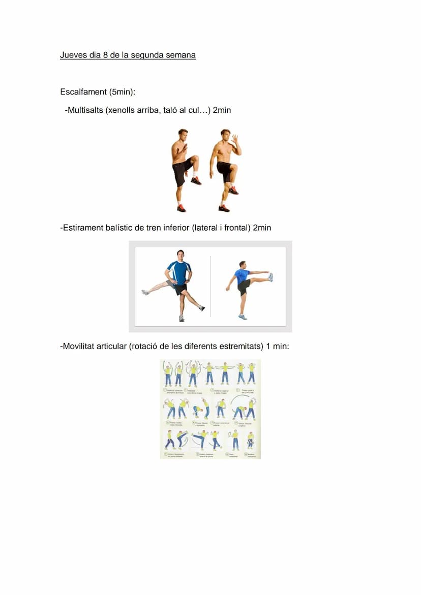 Lunes dia 5 de noviembre segunda semana
Escalfament: (5min)
- Trote continuo 2 min
-Estirament balístic de tren inferior (lateral i frontal)