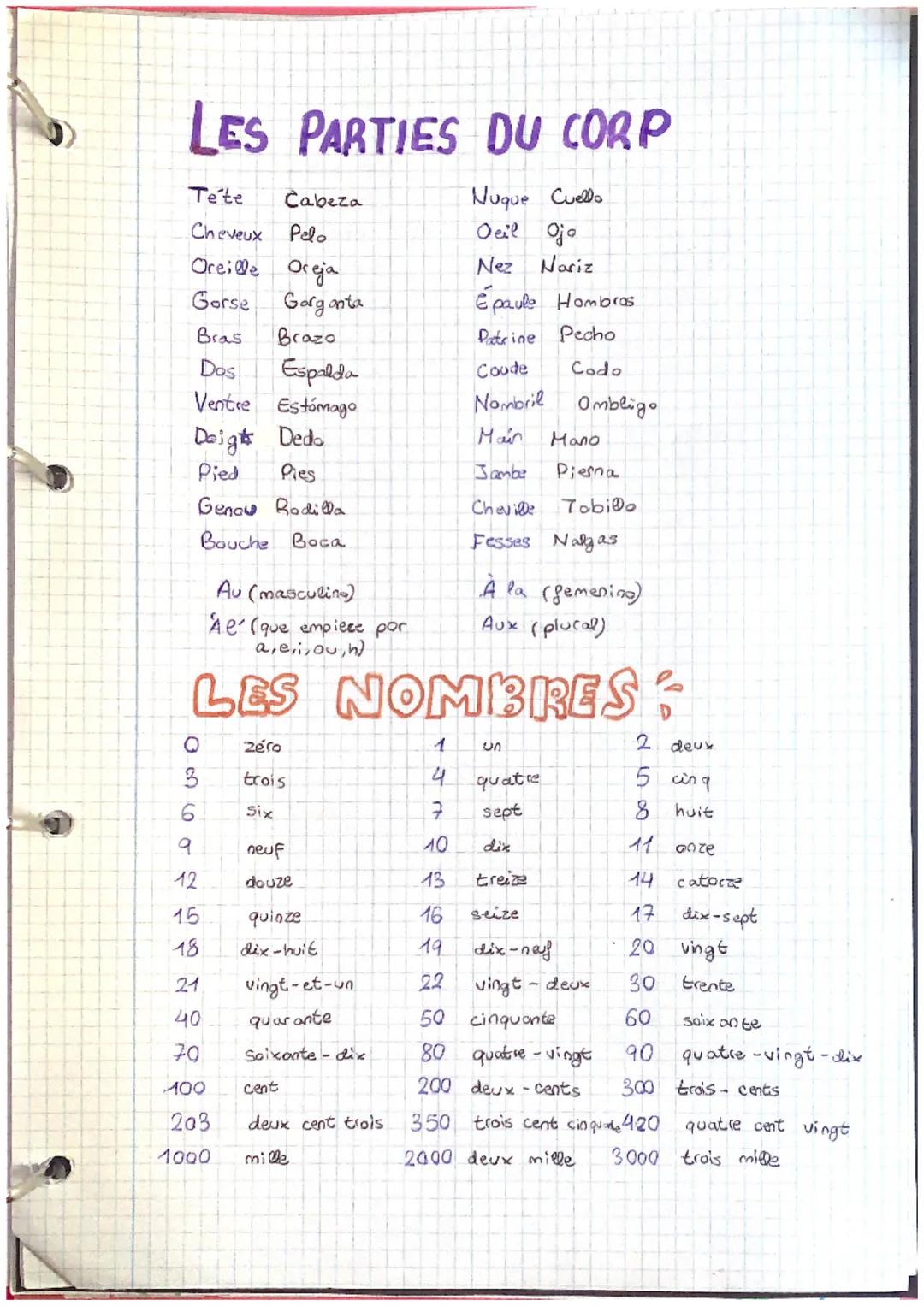 LES PARTIES DU CORP
Tete
Cabeza
Nuque Cuello
Cheveux Pelo
Oeil Oja
Oreille Oreja
Nez Nariz
Gorse
Garganta
Épaule Hombras
Bras
Brazo
Patrine 