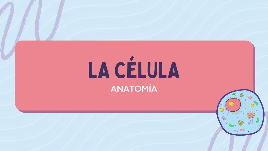 La células y los tejidos