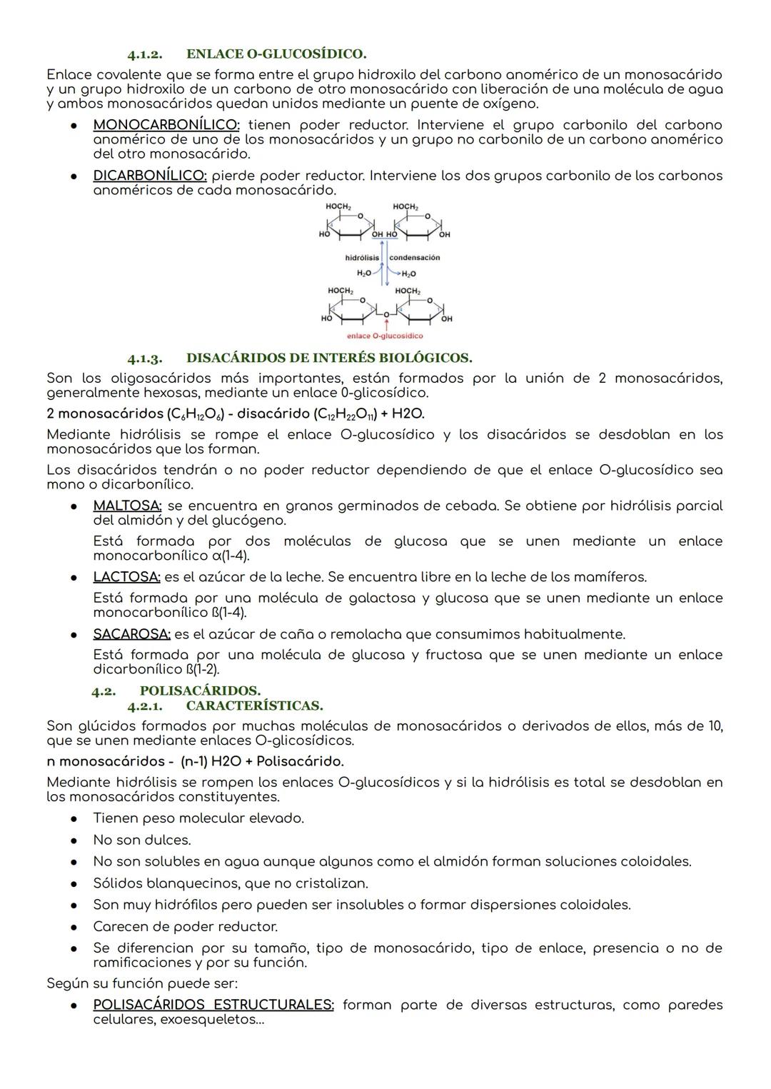 # Los glúcidos.

1. CARACTERÍSTICAS DE LOS GLÚCIDOS.

Los glúcidos son biomoléculas orgánicas que están formadas principalmente por C, Hy O.