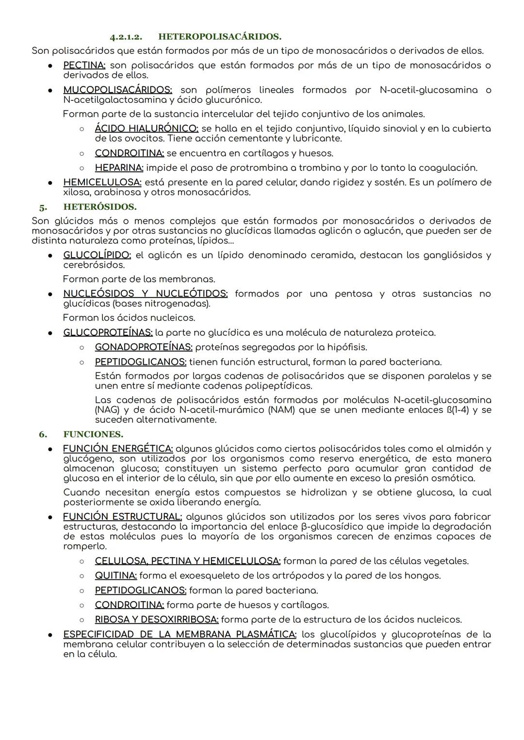 # Los glúcidos.

1. CARACTERÍSTICAS DE LOS GLÚCIDOS.

Los glúcidos son biomoléculas orgánicas que están formadas principalmente por C, Hy O.