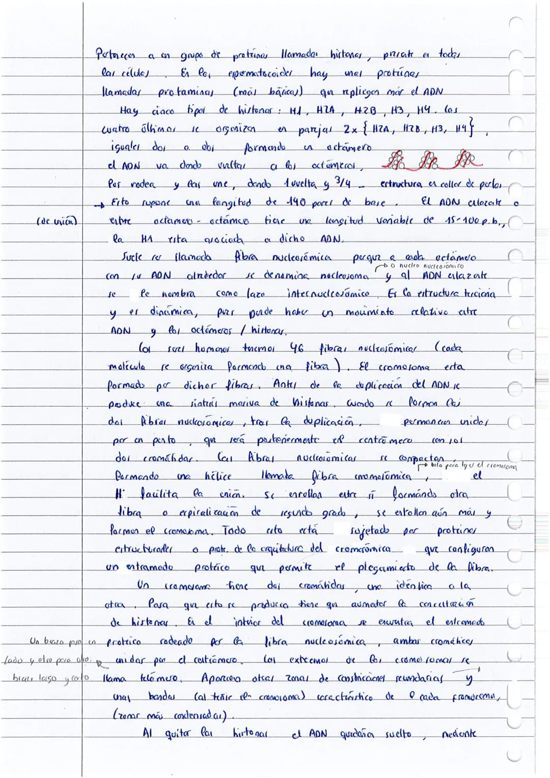 
<p>Los ácidos nucleicos son la principal fuente de energía de las células y desempeñan un papel fundamental en la biología. Están compuesto