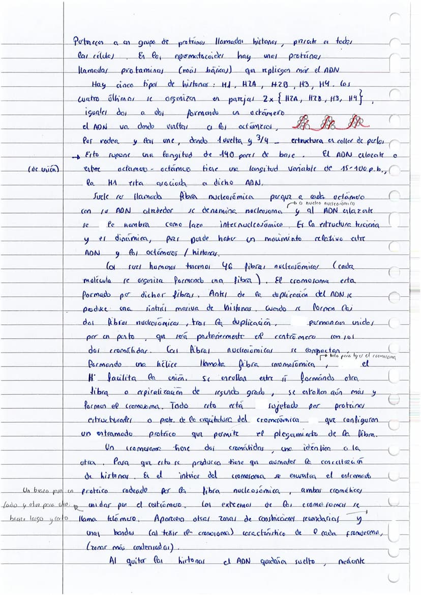 
<p>Los ácidos nucleicos son la principal fuente de energía de las células y desempeñan un papel fundamental en la biología. Están compuesto