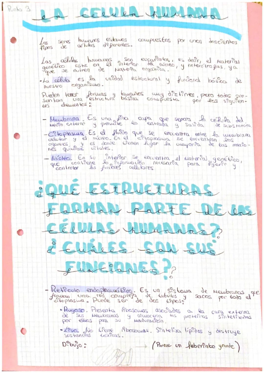 Punto A
ZA ORGANIZACIÓn
NIVELES DE Organizacis
ORGAN
Las
seres vivos
completos.
Niveles
Nivel Subatómico
@
DEL CUERPO HUMANO
de organización