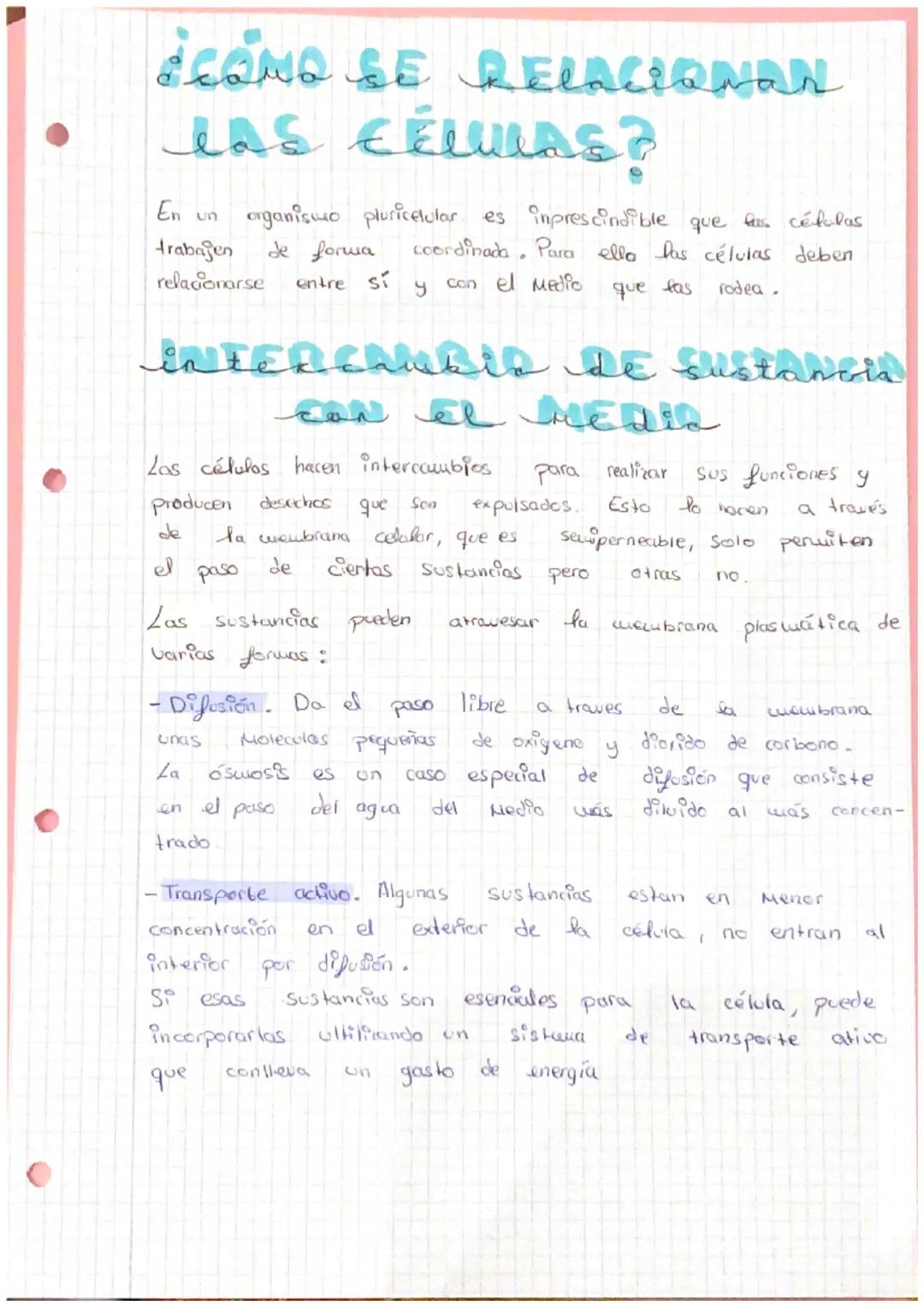 Punto A
ZA ORGANIZACIÓn
NIVELES DE Organizacis
ORGAN
Las
seres vivos
completos.
Niveles
Nivel Subatómico
@
DEL CUERPO HUMANO
de organización