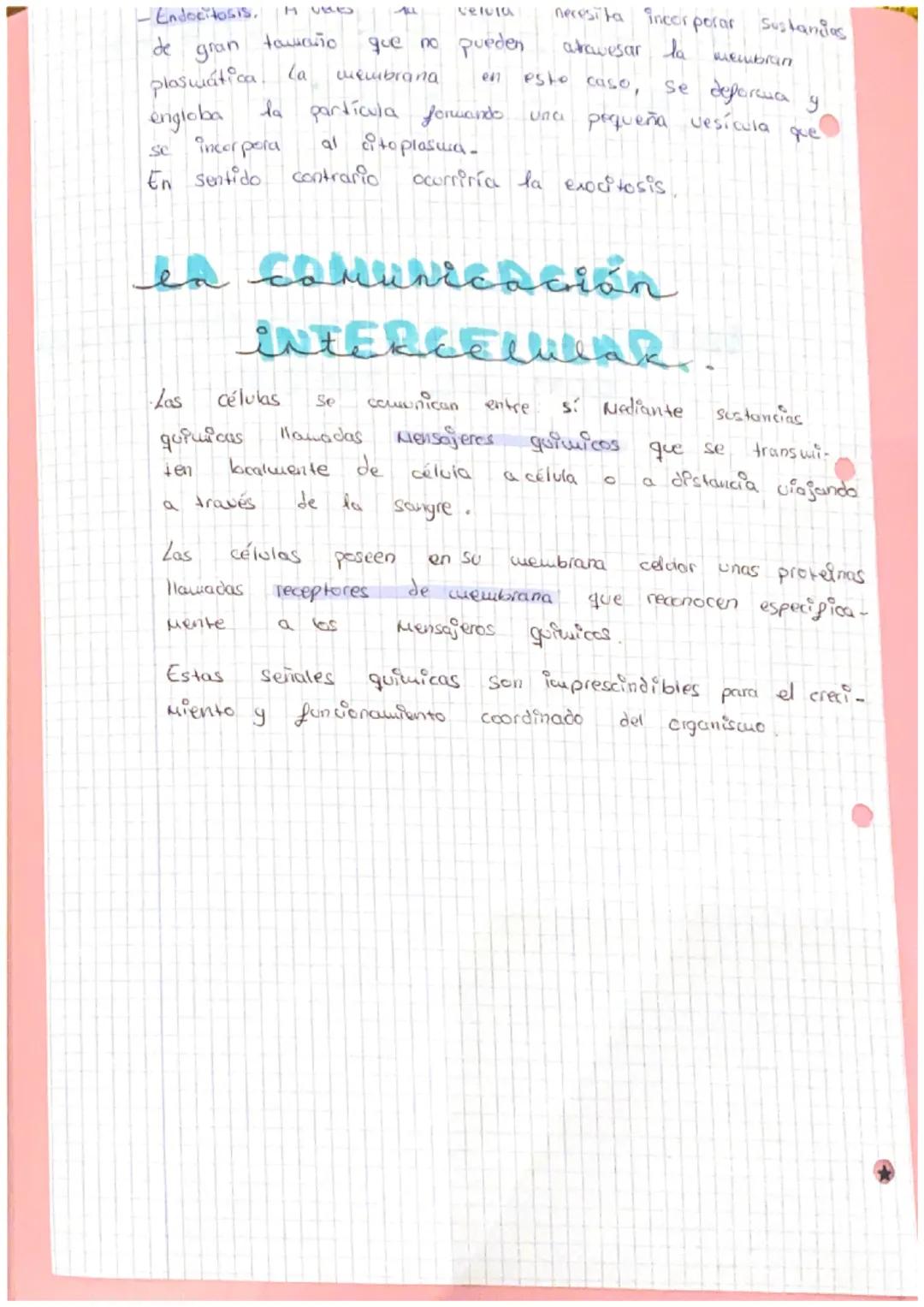 Punto A
ZA ORGANIZACIÓn
NIVELES DE Organizacis
ORGAN
Las
seres vivos
completos.
Niveles
Nivel Subatómico
@
DEL CUERPO HUMANO
de organización