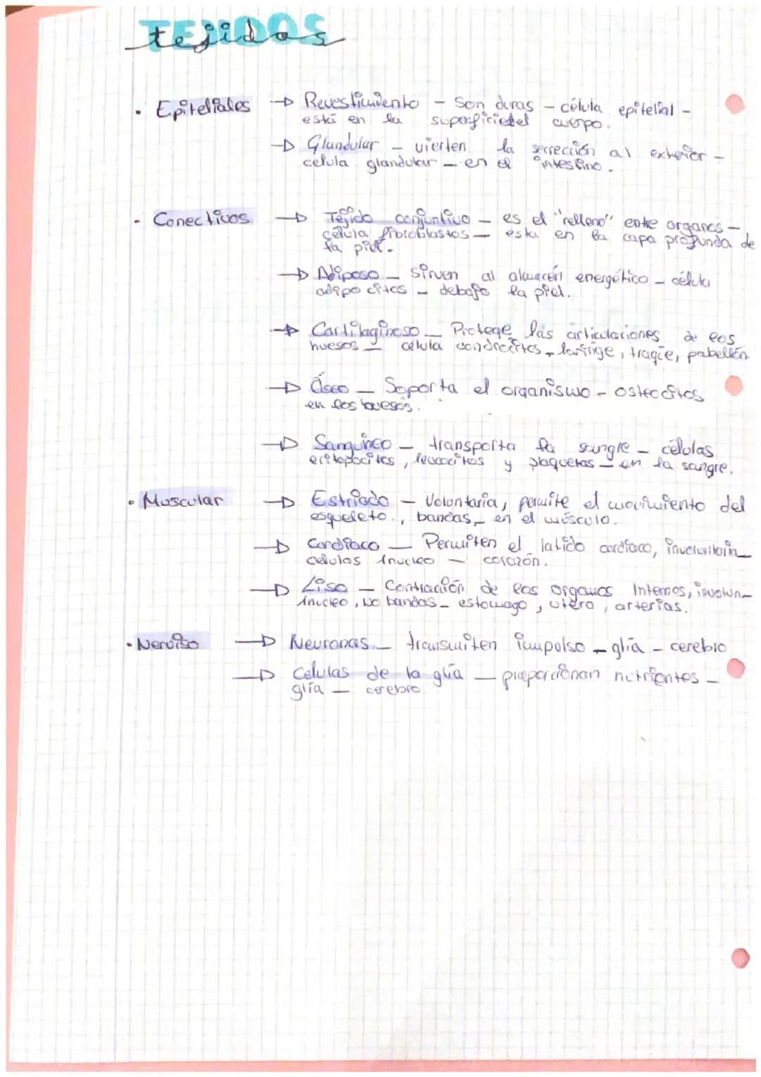 Punto A
ZA ORGANIZACIÓn
NIVELES DE Organizacis
ORGAN
Las
seres vivos
completos.
Niveles
Nivel Subatómico
@
DEL CUERPO HUMANO
de organización