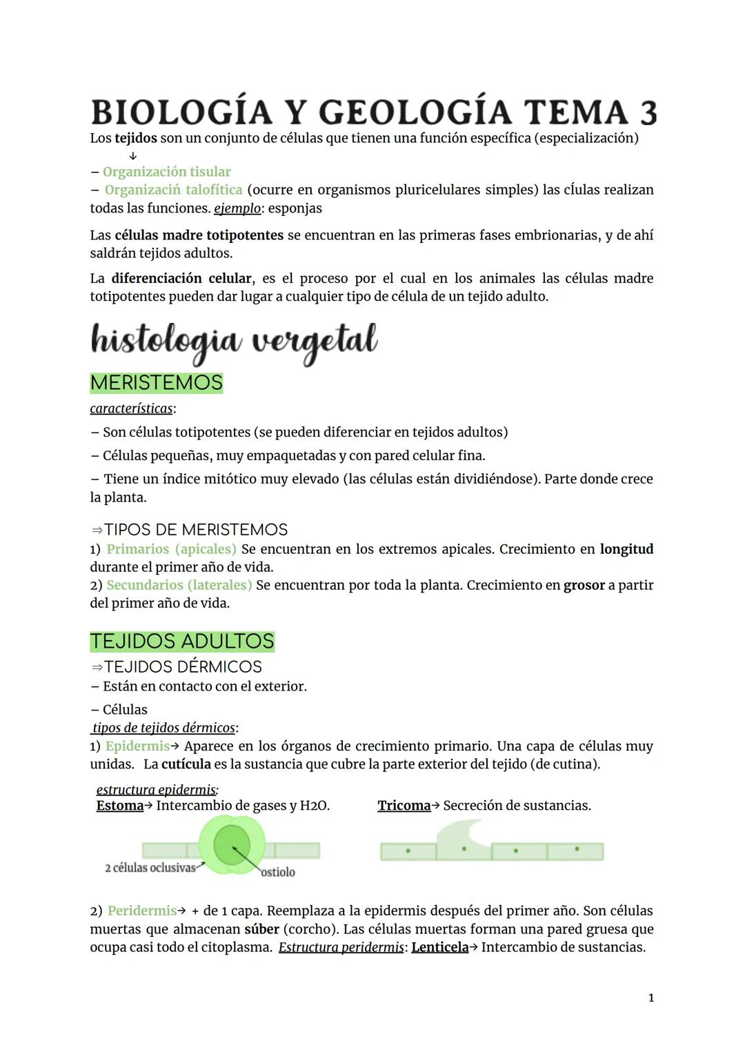 BIOLOGÍA. HISTOLOGÍA