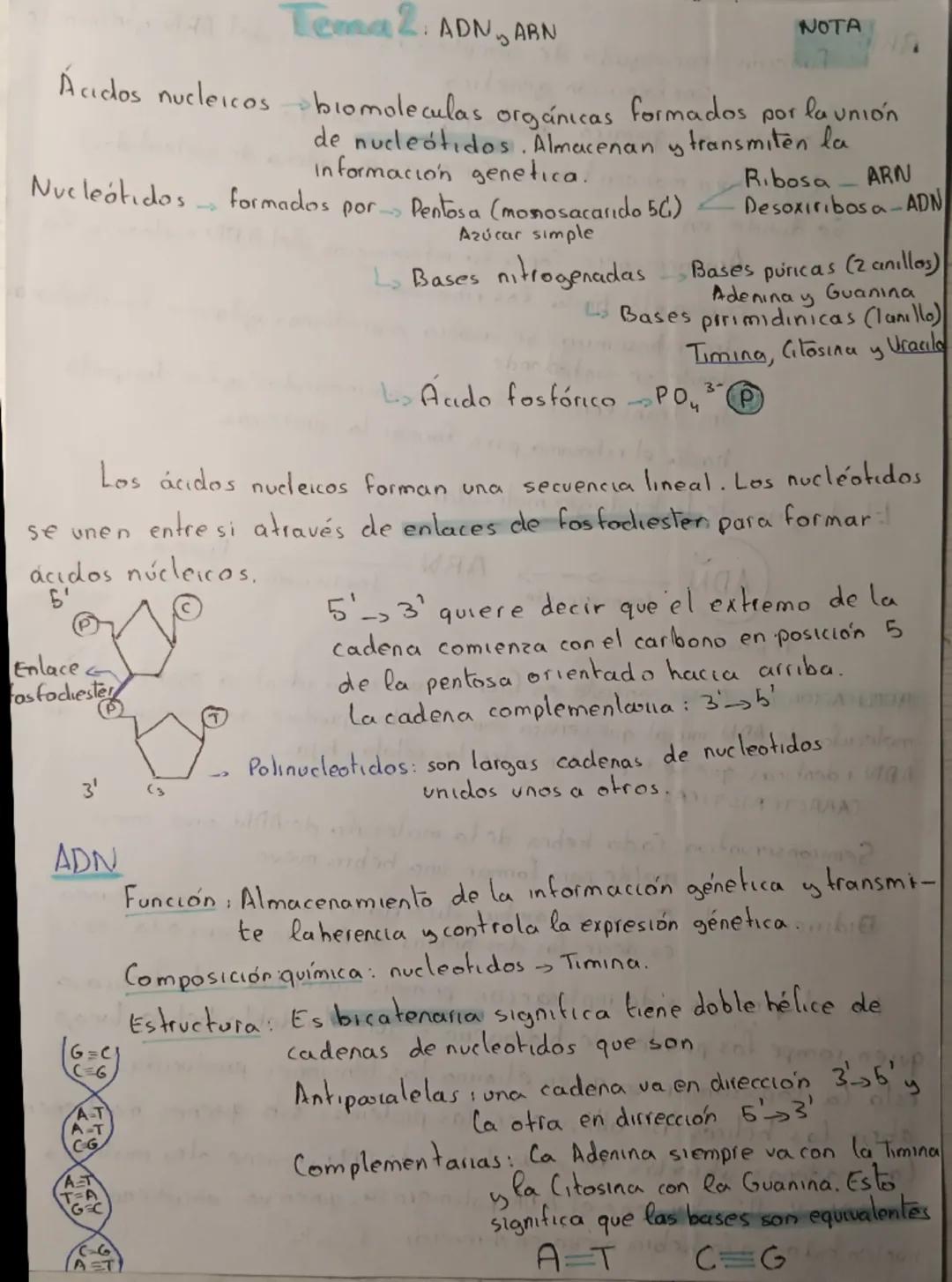 ADN, ARN, el dogma de la biologia molecular, código genético y cromosomas.